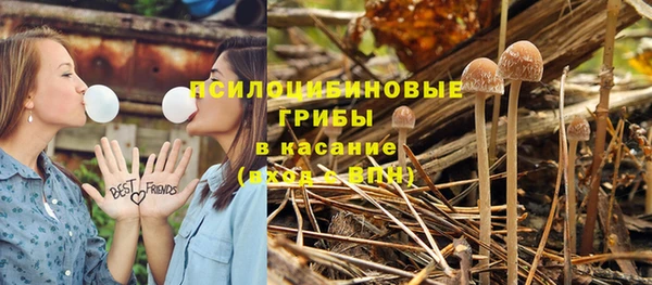гашик Алексин